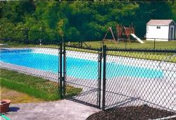 Inspiration Gallery - Pool Fencing - Image: 113